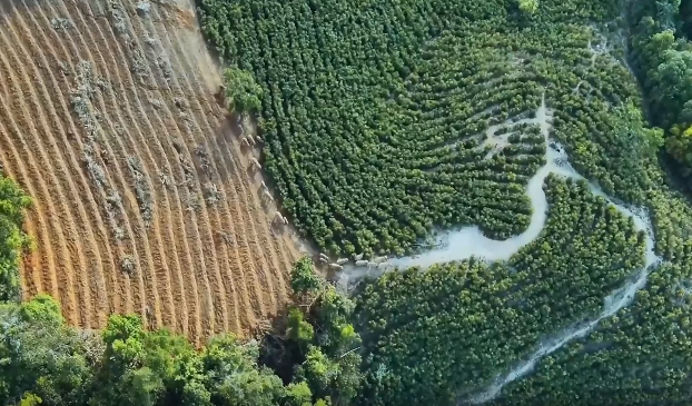 实际举动为生态维护贡献力量足见魔域玩家对公益事业的热心与责任感 实际举动为生态维护贡献力量足见魔域玩家对公益事业的热心与责任感