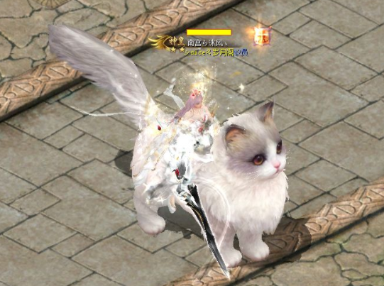 <b>镜头中透露了许多让人忍俊不禁的信息这款由魔域出品的狗粮</b>